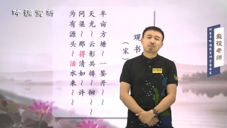 盈视讲诗词（研究生导师） 9集
