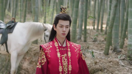 藏药令 18集