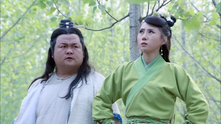 神医传奇 34集