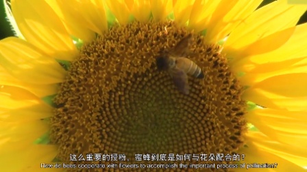 少年的第一堂自然课 23集