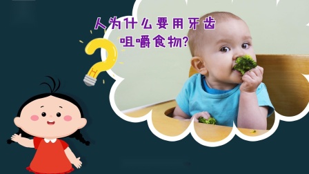 好奇世界百问百答之小型动物观察笔记 5集