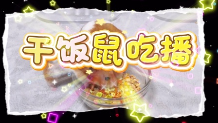 小仓鼠&ldquo;拆家&rdquo;记 2集