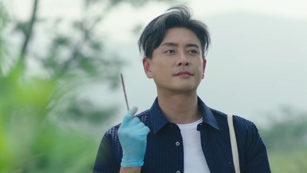 法证先锋V 8集