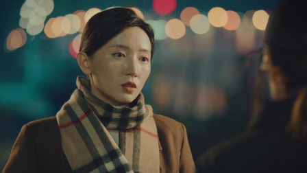 一个女儿的母亲 16集