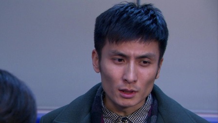 法网追击 12集