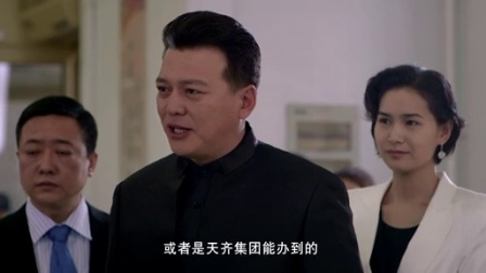 信访局长 9集