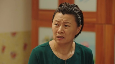乡村爱情15 17集