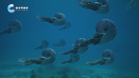 米拉和星仔：海洋探险小队 5集