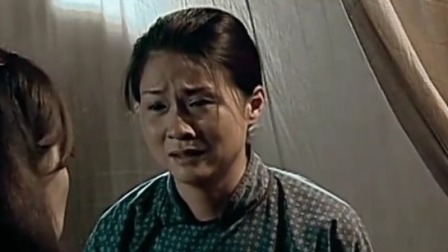 桂北剿匪记 10集