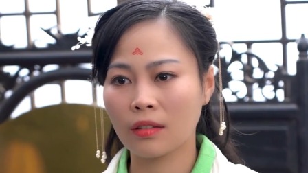 美人醉 21集