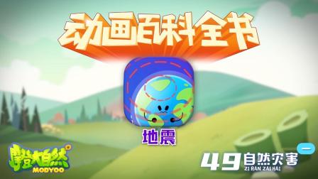 大自然里面的小百科 13集