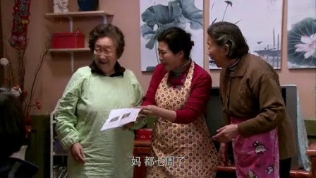 独生子女的婆婆妈妈 32集