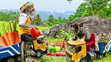 小猴子啵啵 第三季 38集