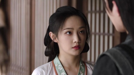 花间令 26集