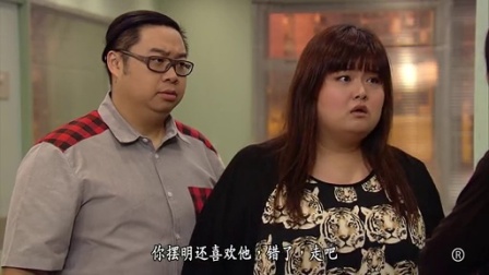 忠奸人 30集