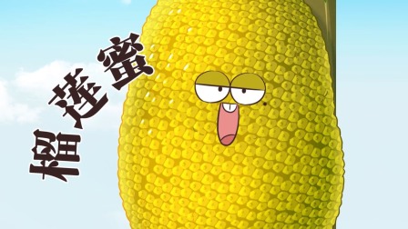 我是不白吃之美食趣胃计划 14集