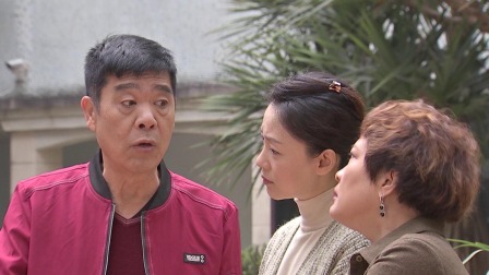 外来媳妇本地郎18 17集