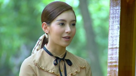爱妻 17集