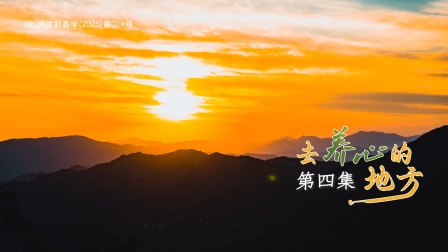 去养心的地方 4集