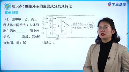 学王课堂 人教版高中生物学选择性必修1（稳态与调节） 1集