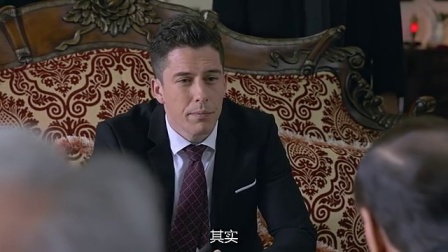 反黑 25集