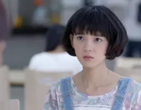 致青春 13集