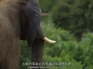 少年的第一堂自然课 14集