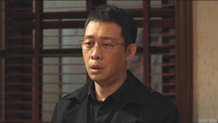 以法之名 35集