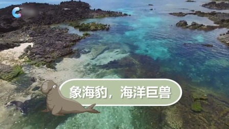 动物特攻队 6集