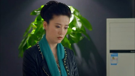 玫瑰炒肉丝 10集