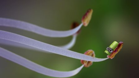 小奇迹微观世界 第一季 4集