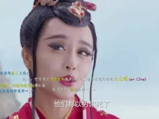极品家丁 弹幕版 25集