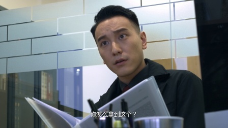 蚀日风暴 33集