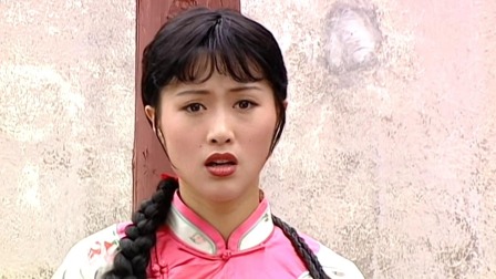 扬州八怪 23集