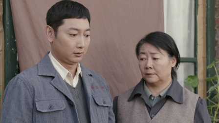 那座城这家人  DVD版 10集