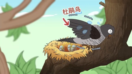 嘻游农场万事通之动物篇 4集