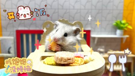 我的仓鼠世界闯关冒险 10集