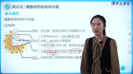 学王课堂 人教版高中生物学必修1（分子与细胞） 14集