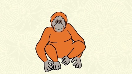 库米的动画绘本 第二季 52集
