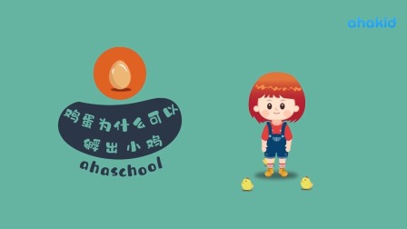 麦奇的为什么 百科动物篇 13集