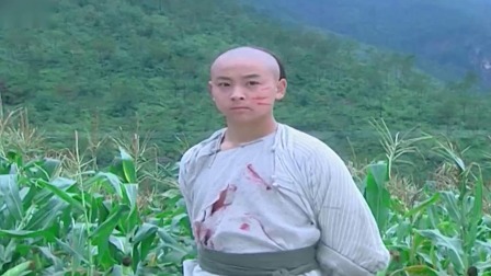 少年黄飞鸿 30集