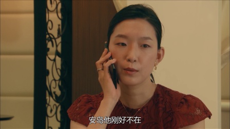 黑皮手册 7集