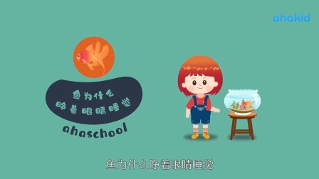 麦奇的为什么 百科动物篇 5集