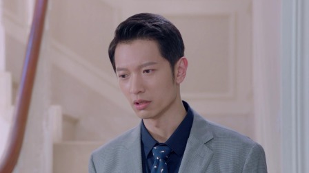 湾区儿女 22集