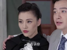 铁血军魂 28集