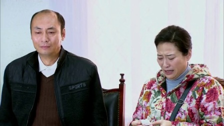 独生子女的婆婆妈妈 2集
