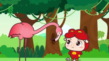 猪猪侠爆笑科普乐园 24集