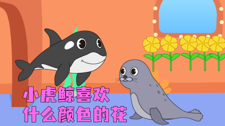 鹿小小识动物 347集