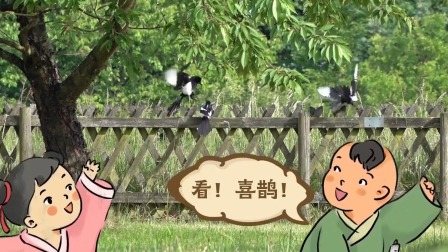 好奇世界百问百答之小型动物观察笔记 8集