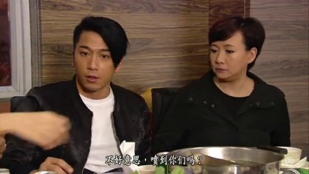 忠奸人 20集
